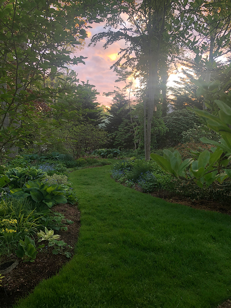 Enchanted Evening event in the Chapman Garden