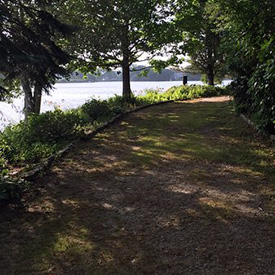 Woodland garden path