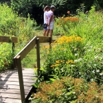 summer flowers bridge
